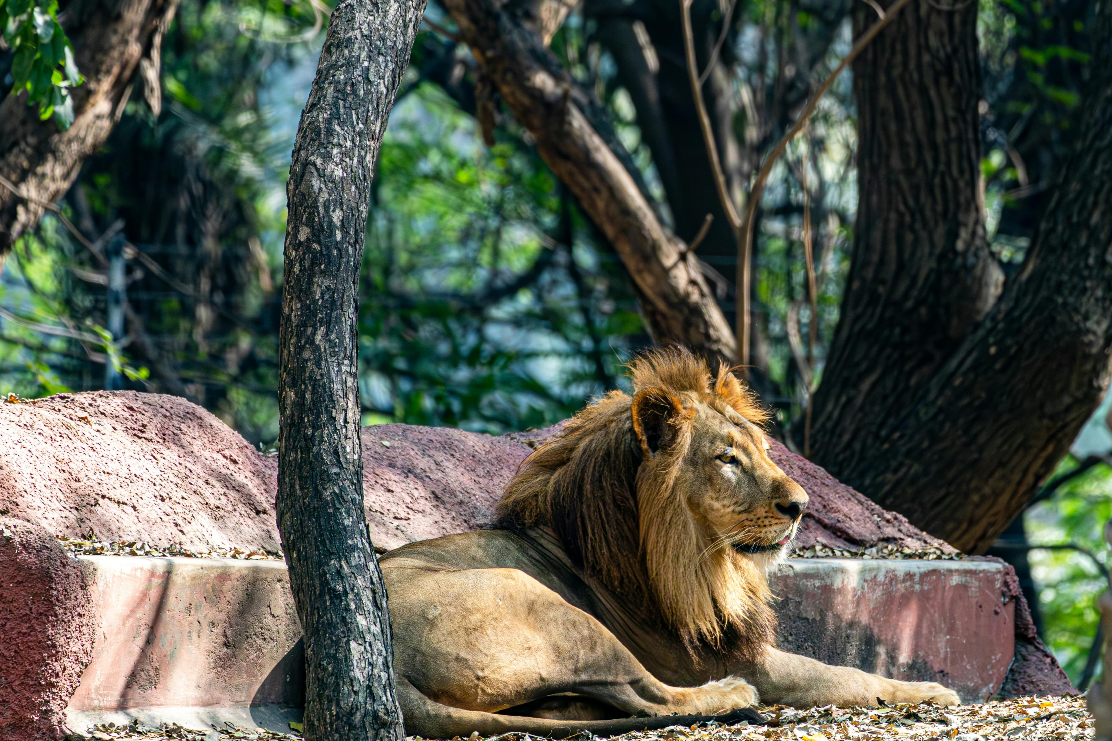 Private Tour: Wildlife Encounters in Somerset West and Stellenbosch tour in Cape Town